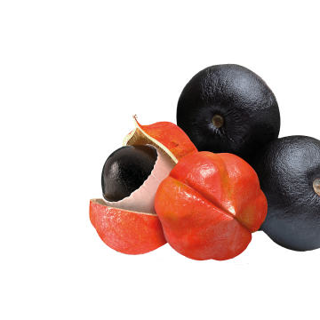 Guaraná