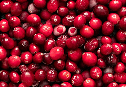Extracto de arándano rojo