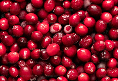 Extracto de arándano rojo