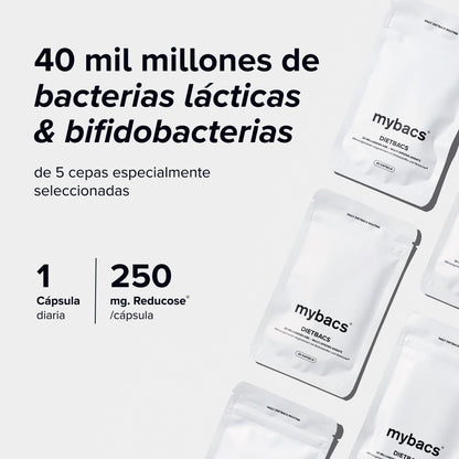 Metabolismo &amp; Bitter Duo