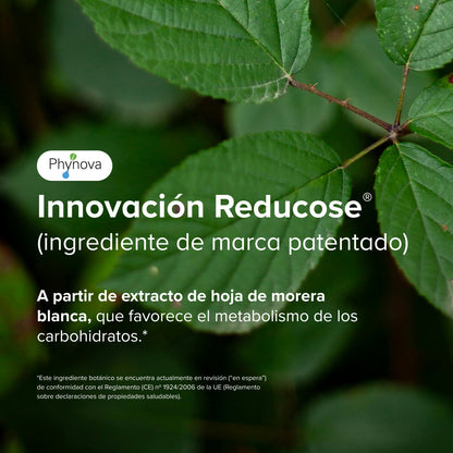 Metabolismo &amp; Bitter Duo