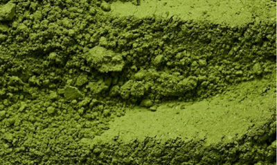 Extracto de té verde